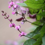 今天是个特殊的日子