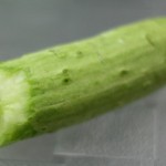 超级无敌磨牙棒
