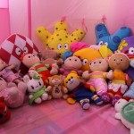 雪莱的毛绒世界