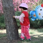遭遇短时狂风阵雨