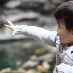 抚顺海洋馆一日游