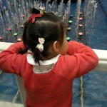 家里锁不住雪莱了