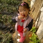 杨城寨采草莓