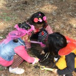 沈阳公园计划之北陵公园