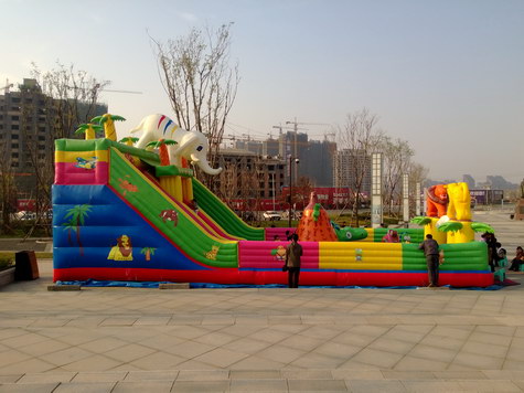 WP_20130505_055