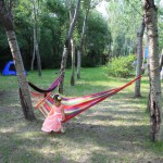 沈阳公园计划之国家森林公园