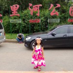 沈阳公园计划之五里河公园