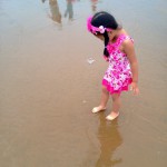 止锚湾变东戴河