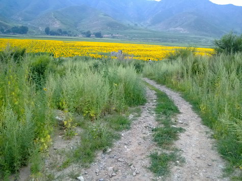 WP_20130731_039
