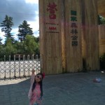 十天十夜之伊春五营国家森林公园