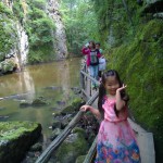 十天十夜之嘉荫茅兰沟国家森林公园