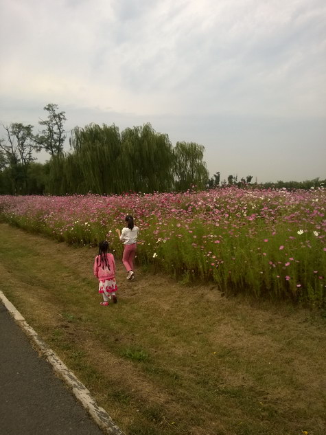 WP_20140920_023