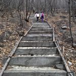 抚顺紫花岭+萨尔浒一日游