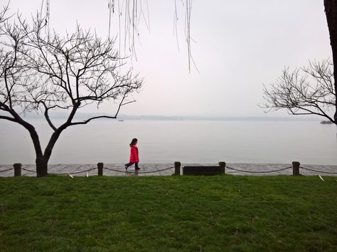 WP_20160128_13_53_39_Pro